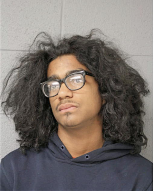 DEANDRE J WILLIAMS, Cook County, Illinois