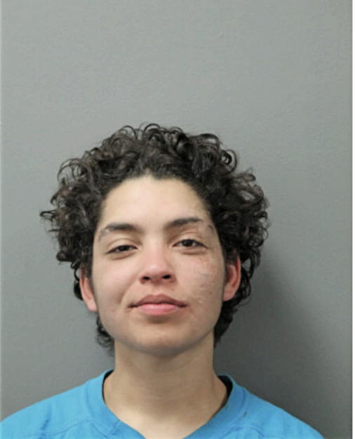 KORTNY L WILLIAMS, Cook County, Illinois