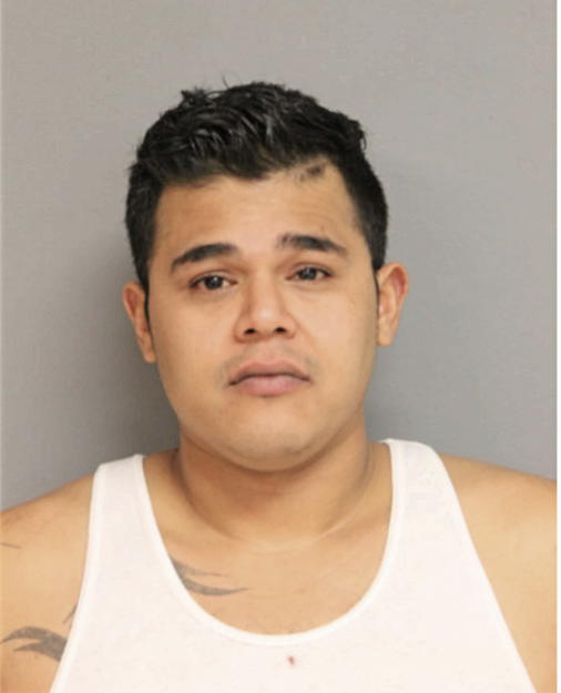 CARLOS M ALCANTAR, Cook County, Illinois