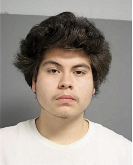 FERNANDO H CALDERON, Cook County, Illinois
