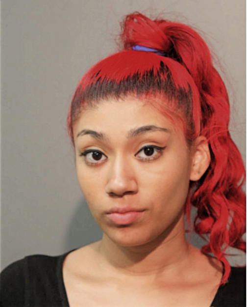 MIREYA L CARDENAS, Cook County, Illinois