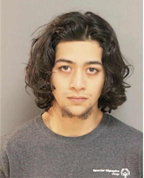 EDWARDO DANIEL ECHEVARRIA, Cook County, Illinois