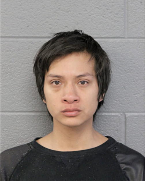 ERIK T FLORES, Cook County, Illinois