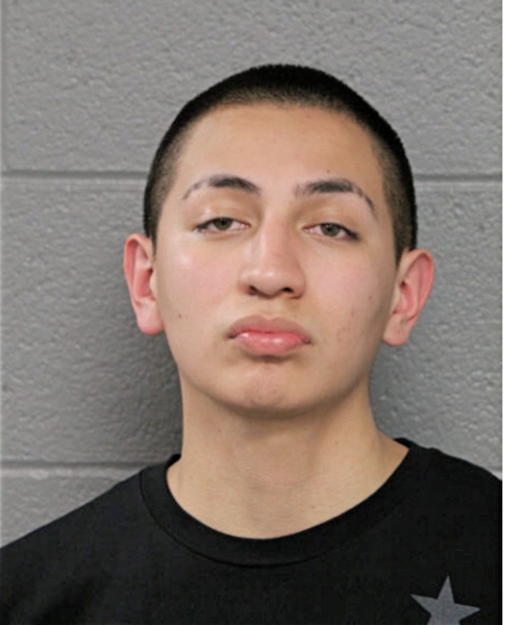 KEVIN G FLORES, Cook County, Illinois