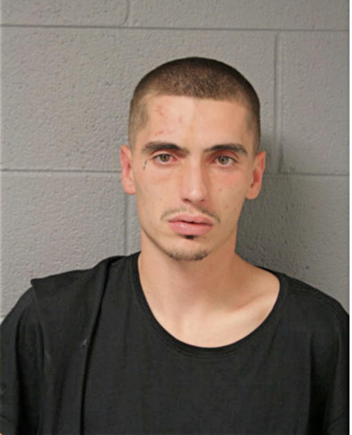 JAMES M FOSTER, Cook County, Illinois
