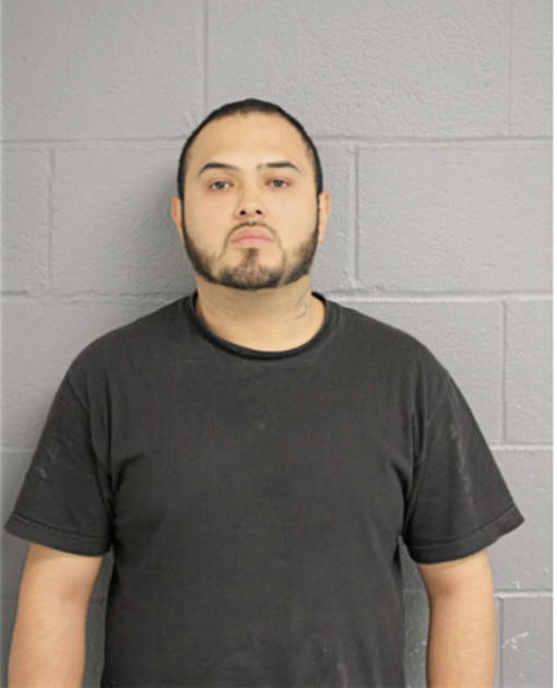 JONATHAN A GONZALEZ, Cook County, Illinois