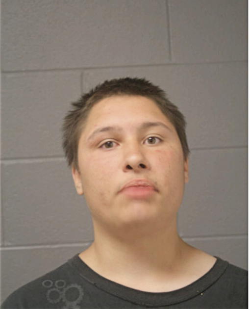 MARK A HALL, Cook County, Illinois