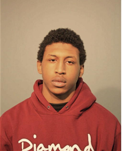 IAN CHRISTOPHER HANSFORD, Cook County, Illinois