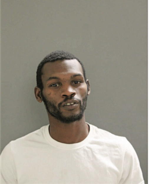BRANDON M HENTZ, Cook County, Illinois