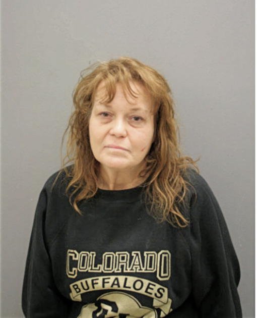 DONNA M HOLSTEIN, Cook County, Illinois