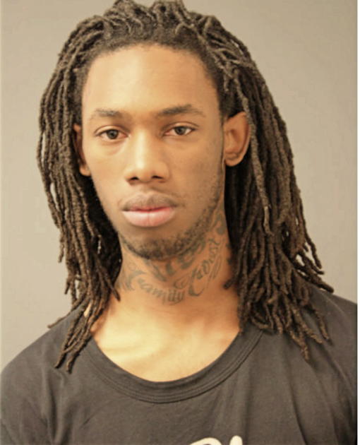 MICHAEL A JAMES, Cook County, Illinois