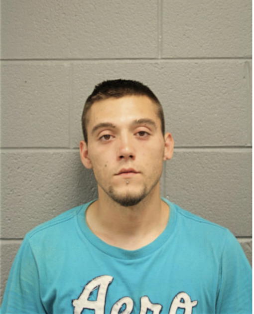 SILVAN KRZALIC, Cook County, Illinois
