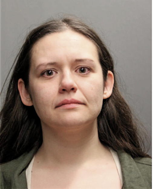 SHANNON M KUSSMANN, Cook County, Illinois