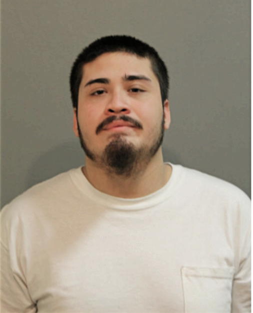 MANUEL J LECHUGA, Cook County, Illinois