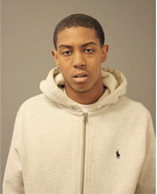 LEE A LLOYD, Cook County, Illinois