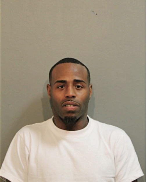 JOHNATHAN J LOGAN, Cook County, Illinois