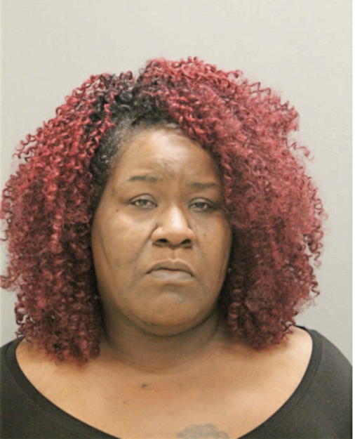 FRANCINE J MAYFIELD, Cook County, Illinois