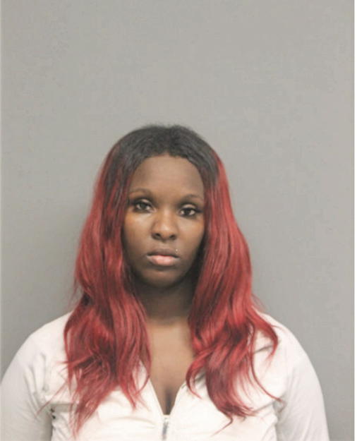 CAMILLE A PITTMAN, Cook County, Illinois