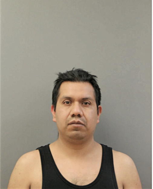 ALFREDO A RODRIGUEZ, Cook County, Illinois