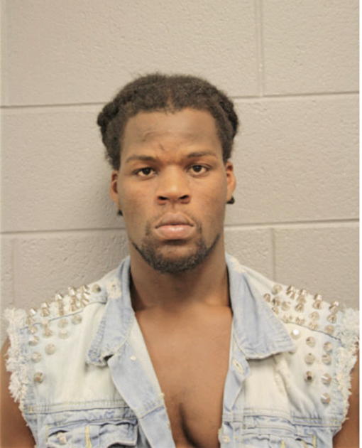 MICHAEL B SMITH, Cook County, Illinois