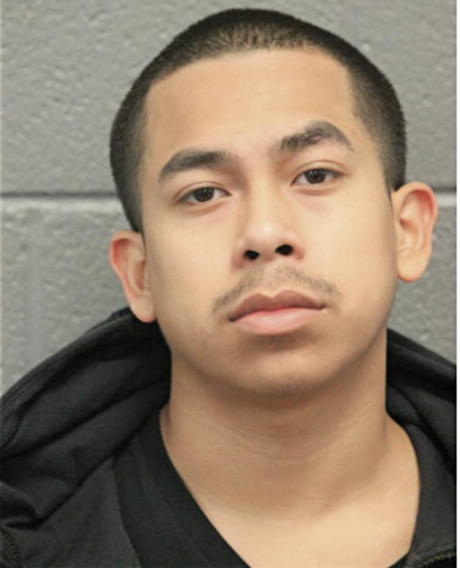 RAFAEL ALCANTARA, Cook County, Illinois