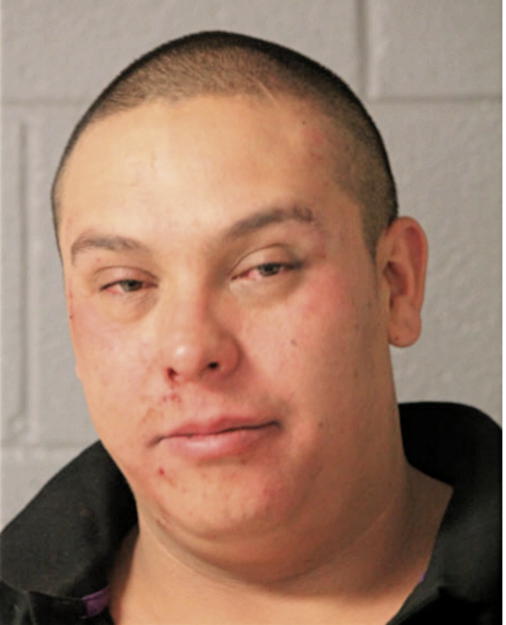 LUIS ANDRADE, Cook County, Illinois