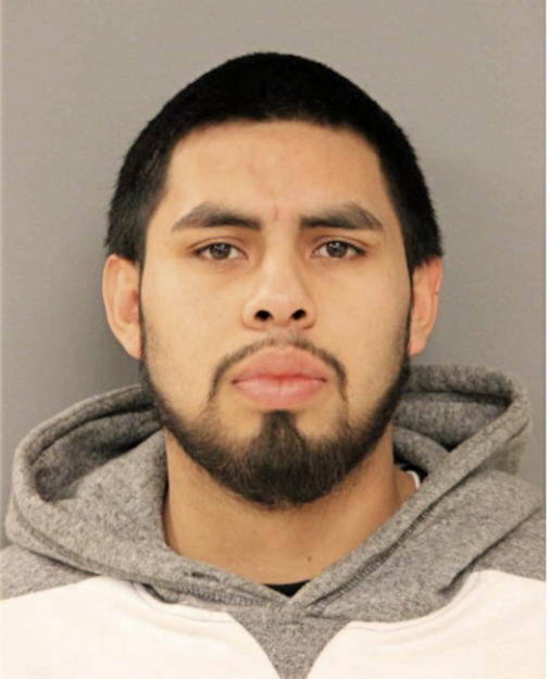 FRANCISCO J APOLINAR, Cook County, Illinois