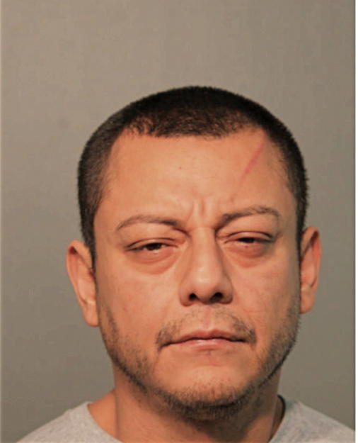 JOSUE ARENA, Cook County, Illinois