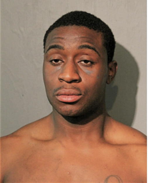 NATHANIEL P BOE, Cook County, Illinois