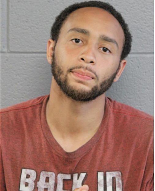 DENZEL S DAVIS, Cook County, Illinois