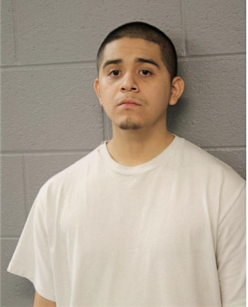 JUAN A GAMINO, Cook County, Illinois