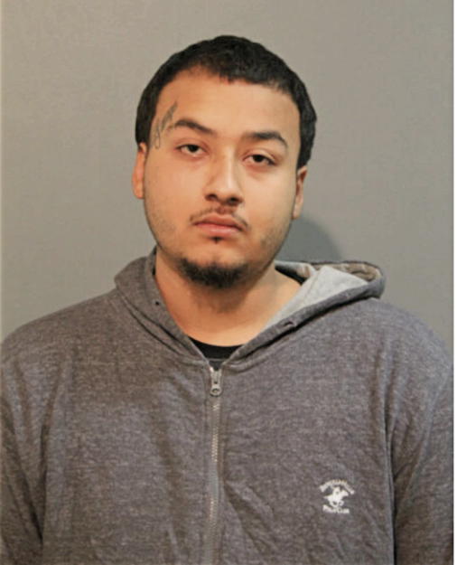 JUAN A GONZALEZ, Cook County, Illinois
