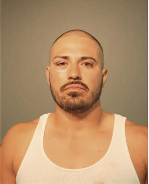 SERGIO HERNANDEZ, Cook County, Illinois