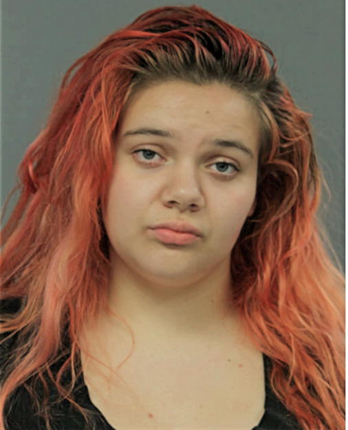 NICOLE S HORNE, Cook County, Illinois