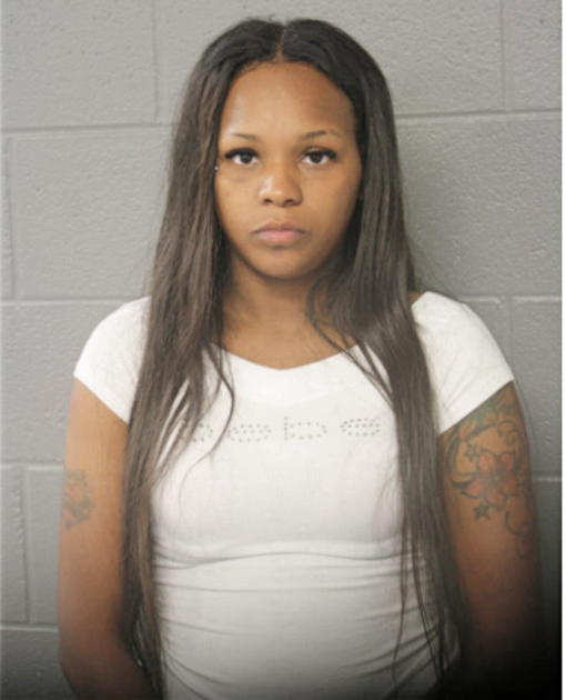 PAMELA M HUDSON, Cook County, Illinois