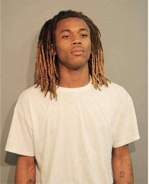 RONALD C JOHNSON, Cook County, Illinois