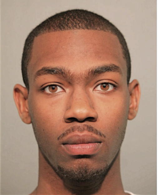 DAVID B LINDSAY, Cook County, Illinois
