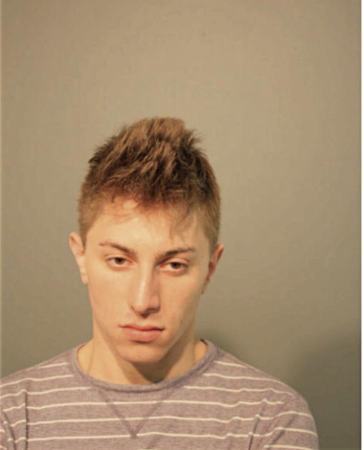 MICHAEL A MEANS, Cook County, Illinois
