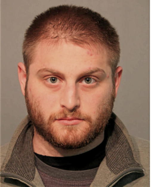 NOAH P MOSKOWITZ, Cook County, Illinois