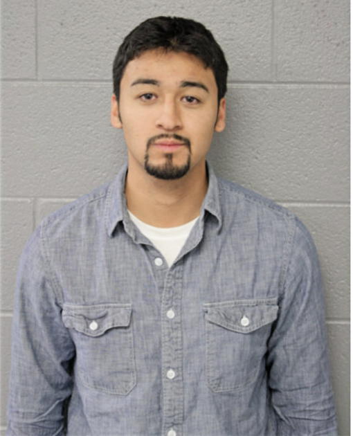 ADRIAN NEGRETE, Cook County, Illinois
