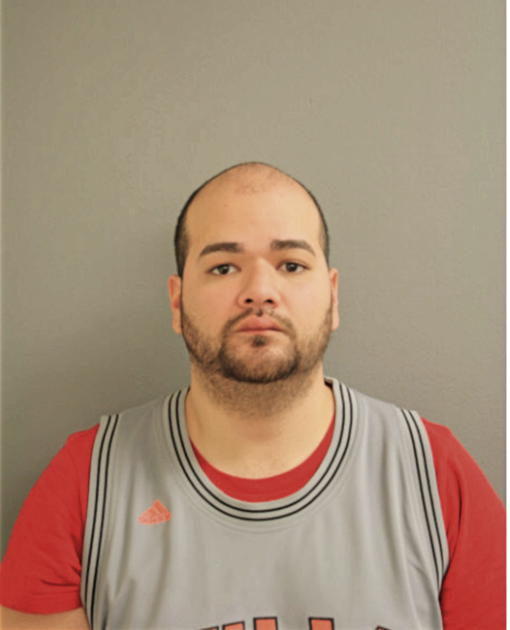 MARCO A NIEBLA, Cook County, Illinois