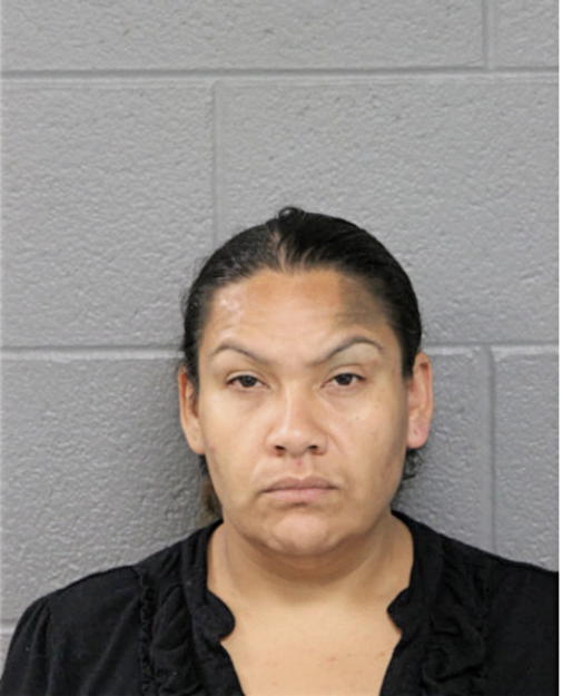 ANUBIS ORTIZ, Cook County, Illinois