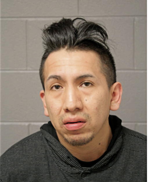 CHRISTIAN S PAUCAR, Cook County, Illinois