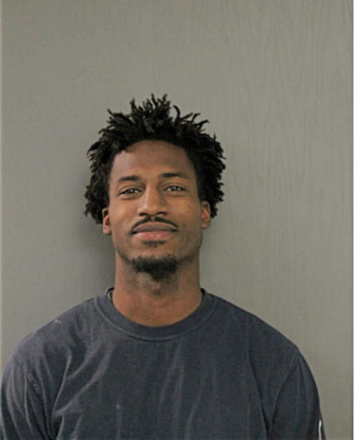 BRADLEY R PRUITT, Cook County, Illinois