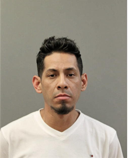 FRANCISCO D RAMIREZ-CANO, Cook County, Illinois