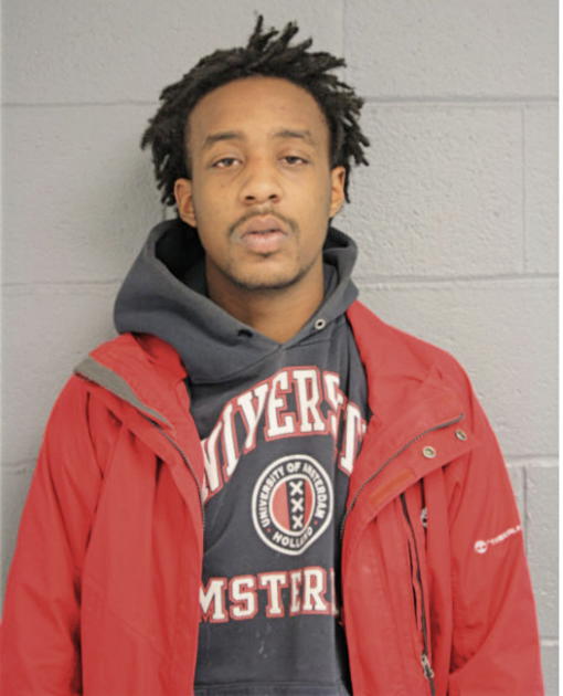 NIKKO L SUTTON, Cook County, Illinois