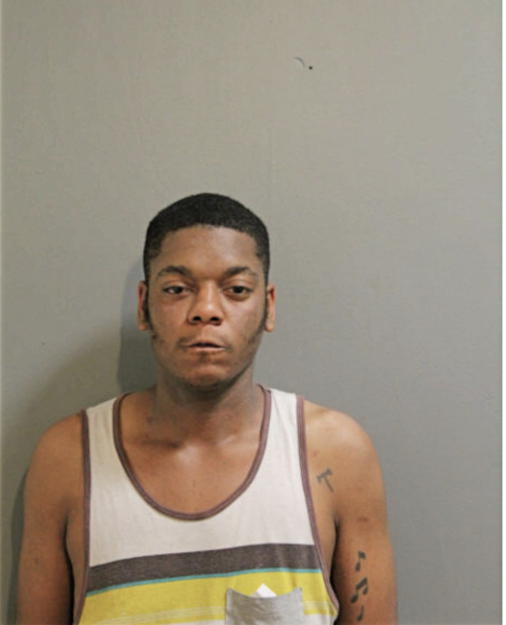 TAURUS M TYLER, Cook County, Illinois