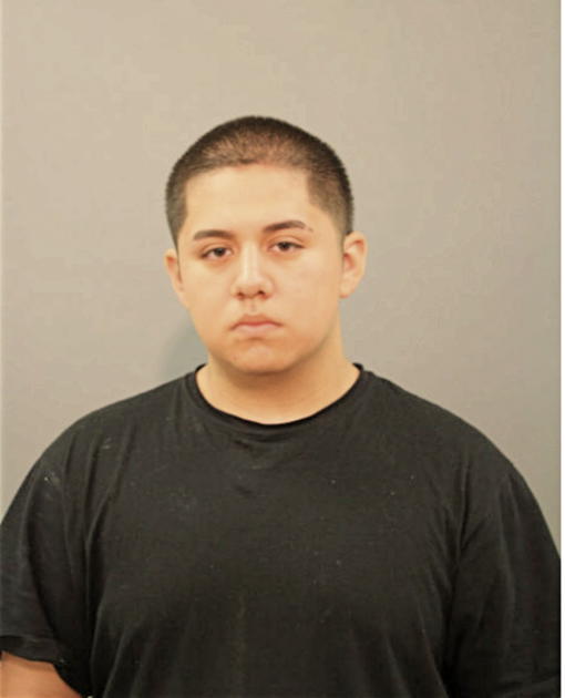 CHRISTIAN A VALENCIA, Cook County, Illinois