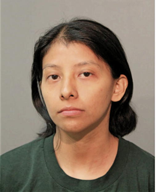 FLOR VENTURA, Cook County, Illinois