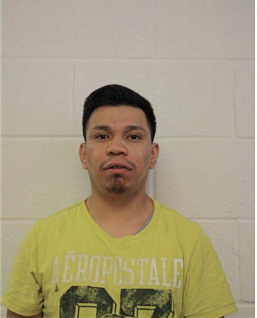 JUAN N ADAME, Cook County, Illinois